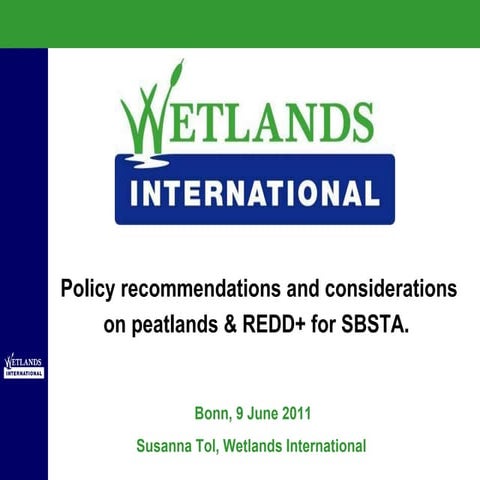 Policy recommendations and considerations on peatlands & REDD+ for SBSTA