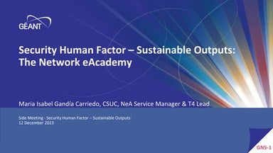 Security Human Factor Sustainable Outputs: The Network eAcademy