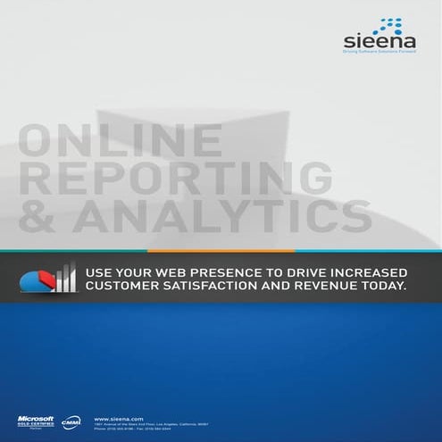 Sieena Online Reporting And Analytics Services (Brochure)