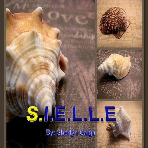 S i e l l e | PDF