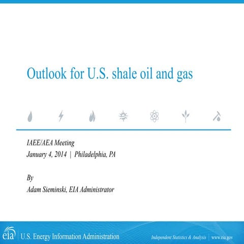 US SHALE OIL & GAS OUTLOOK | PDF