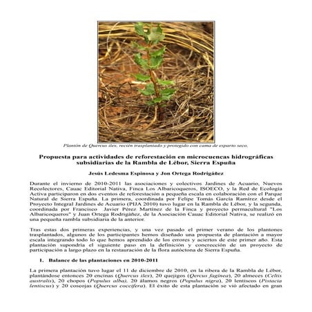 Sierra espuña  Propuesta reforestación de RIBERA en la rambla de Lebor (JARDI...