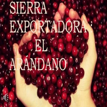 Sierra exportadora