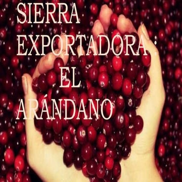 Sierra exportadora