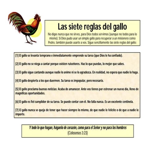 Siete reglas del gallo