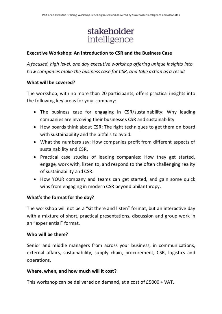 Csr executive summary essay 08 image