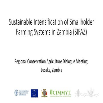 Sustainable Intensification of Smallholder Farming Systems in Zambia (SIFAZ) ...