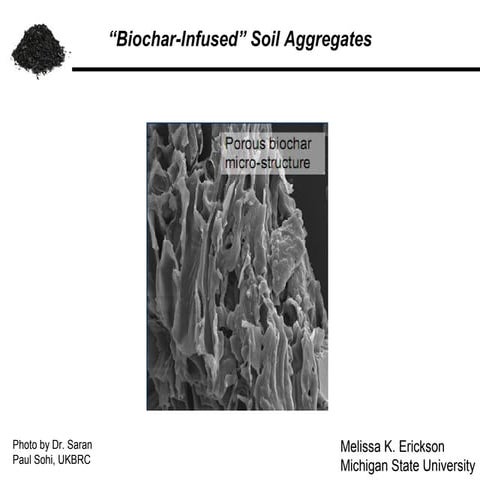 "Biochar Infused" Soil Aggregates