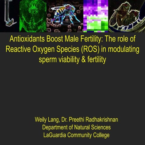 The Role Of Transition Metals & Reactive Oxygen Species (ROS) In ...