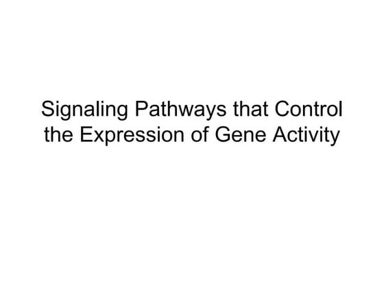 JAK-STAT Signalling Pathway | PPT