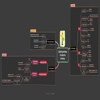 Signaling pathways of endocrine hormones