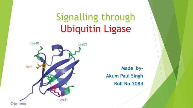 Ubiquitin proteasome pathway.pptx | Biological Sciences | Science