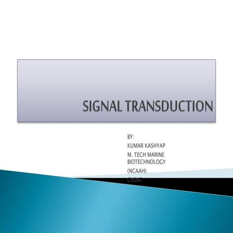 Signal transduction