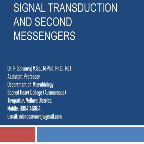 Signal Transduction and Second Messengers | PPT