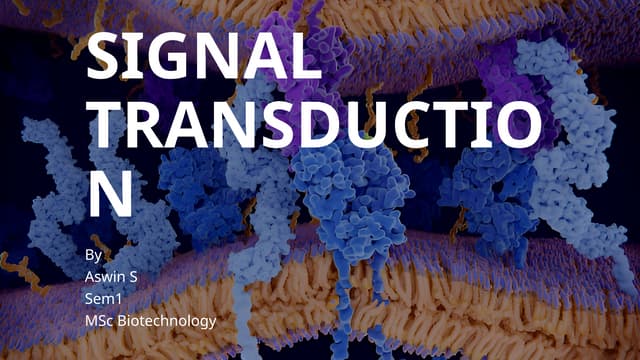 signal transduction pathway- biochemistry
