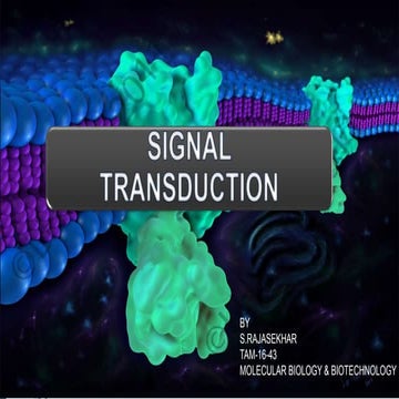 Signal transduction mechanism