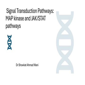 Signal Transduction Pathways MAP kinase and JAKSTAT pathways.pptx