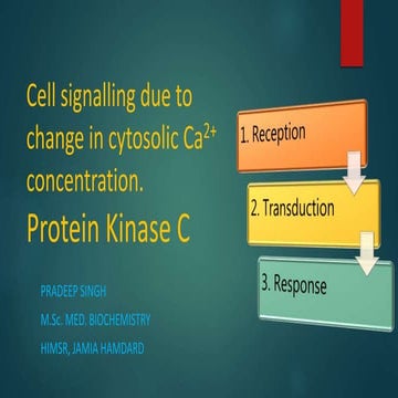 Signal transduction processes connected to the changes in cytosolic calcium c...