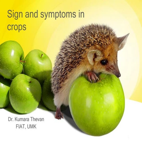 Sign and symptoms in crops