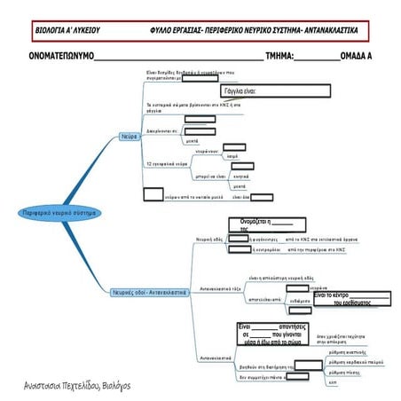 Φύλλο εργασίας ΠΝΣ: νευρικές οδοί- αντανακλαστικά- ΒΙΟΛΟΓΊΑ Α ΛΥΚΕΙΟΥ