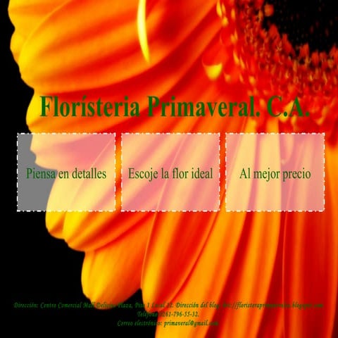 Significado De Los Colores