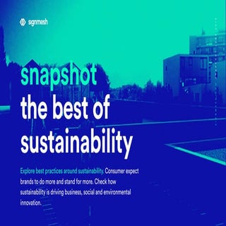 signmesh snapshot - the best of sus...