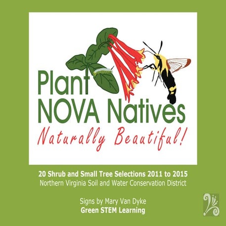 Plant NOVA Natives Garden Signs 5 x 7 inch for Shrub and Small Trees NVSWCD 2...