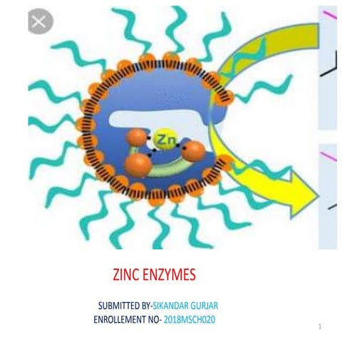 Zinc metalloenzymes