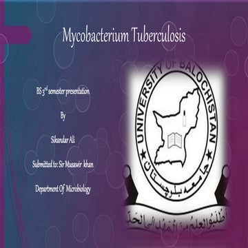 Mycobacterium tuberculosis by Sikander ali Sumalani