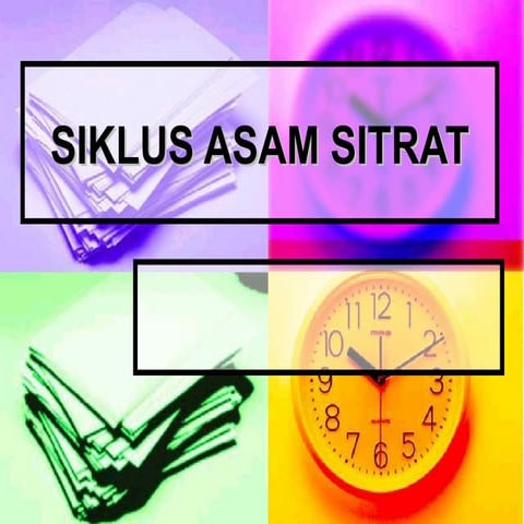 Siklus asam sitrat