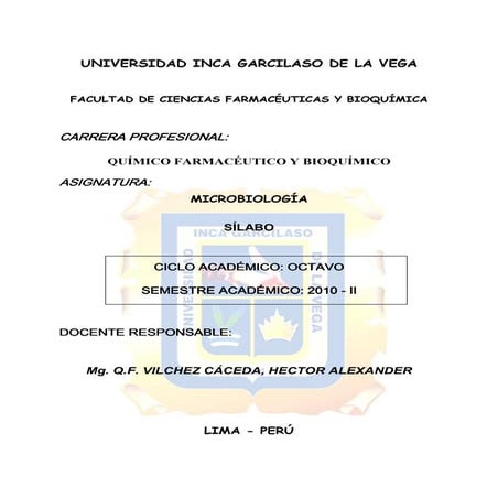 Silabo Micro 2010-II