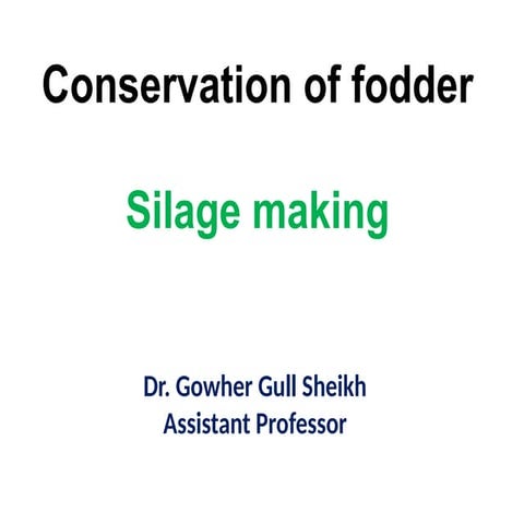 silage feeding to ruminants: Ensiling method