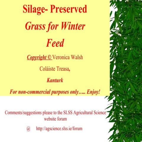 Silage  preserved grass for winter feed