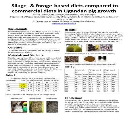 Silage- and forage-based diets compared to commercial diets in Ugandan pig gr...