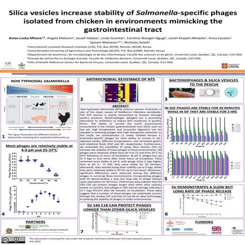 Silica vesicles increase stability of Salmonella-specific phages isolated fro...