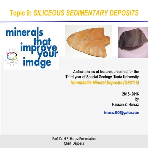 Siliceous sedimentary deposits