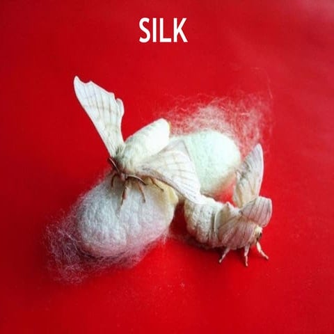 Silk