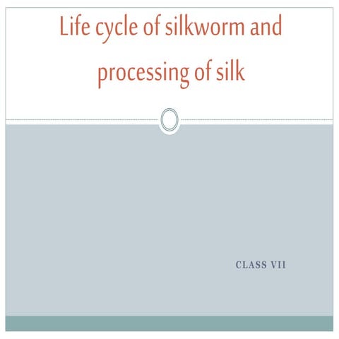 life cycle of silkworm