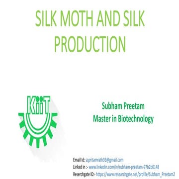 Silk moth and silk production