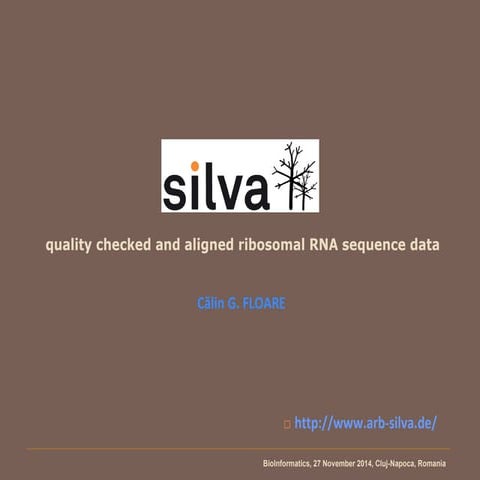 Silva ribosomal RNA database