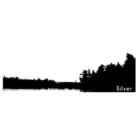 Silver | PDF