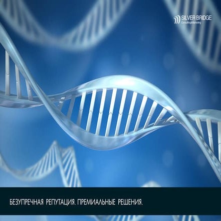 Презентация компании SilverBridge