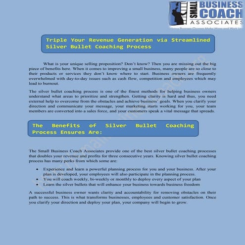 Silver Bullet Coaching Process for Small Businesses by SBCA | PDF