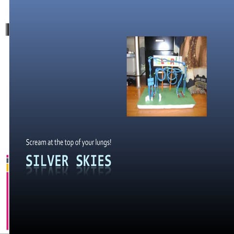 Silver skies