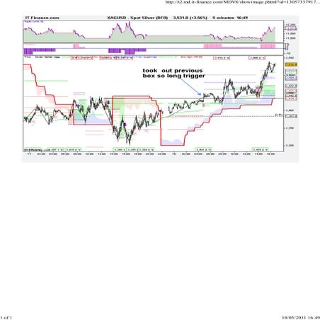 Silver squee zebox 5 min closeup