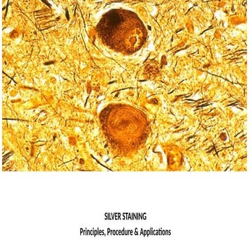 SILVER STAINING METHODS, CLASSIFICATIONS OF SILVER STAINS