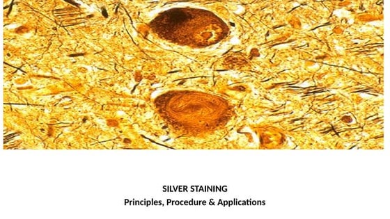 IMMUNOHISTOCHEMISTRY IN PATHOLOGY-1-2.pptx | Chemistry | Science