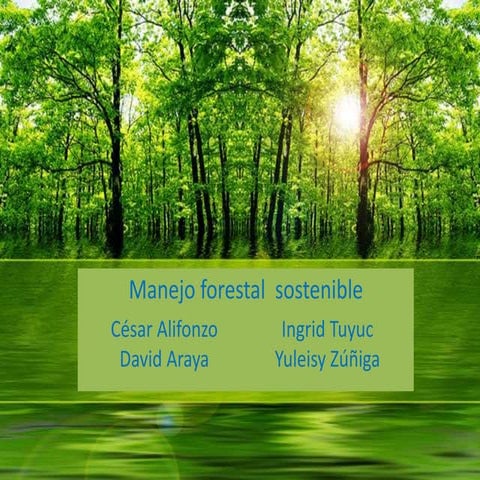 manejo forestal sostenible