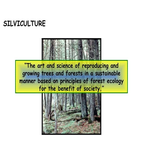 Silvicultural systems