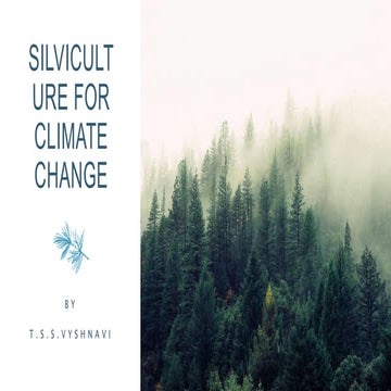 silviculture.pptx